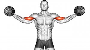 14 Упражнений с Гантелями в домашних условиях