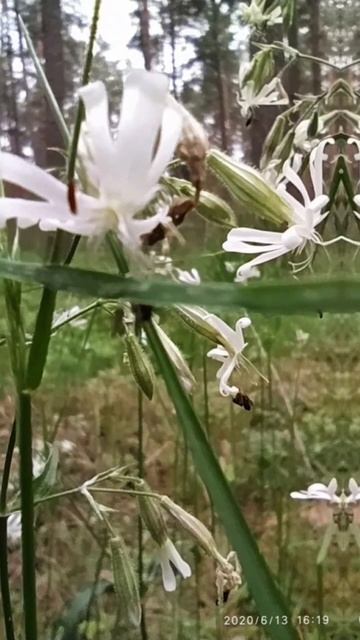 Архив 2020 г. (3)