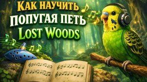 КАК НАУЧИТЬ ПОПУГАЯ ПЕТЬ LOST WOODS