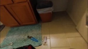 Работа и жизнь Хендимена в США __ Опять в отпуск(MySolve Mam_ya_v_Amerike)