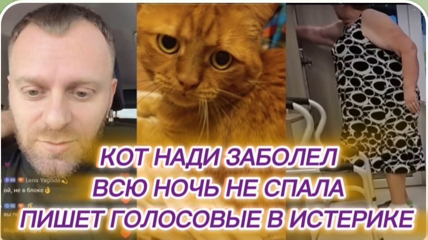 САМВЕЛ АДАМЯН, КОТ НАДИ ЗАБОЛЕЛ, ПИШЕТ ГОЛОСОВЫЕ В ИСТЕРИКЕ, НЕ СПАЛА.. смотреть онлайн