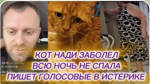 САМВЕЛ АДАМЯН, КОТ НАДИ ЗАБОЛЕЛ, ПИШЕТ ГОЛОСОВЫЕ В ИСТЕРИКЕ, НЕ СПАЛА..