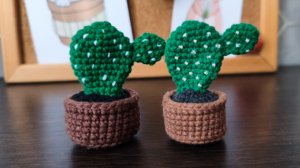 Мастер-класс по вязанию кактуса крючком. Амигуруми для начинающих