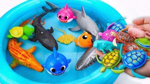 Зуру Робо-Рыбка, Робо-черепаха и игрушки с морскими животными