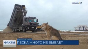 Новый этап восстановления пострадавших из-за ЧС с мазутом пляжей начали в Анапе