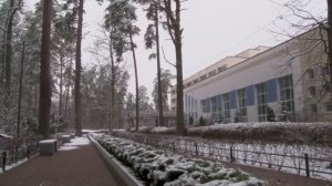 В 2025 году Воронежская область приняла рекордное количество туристов