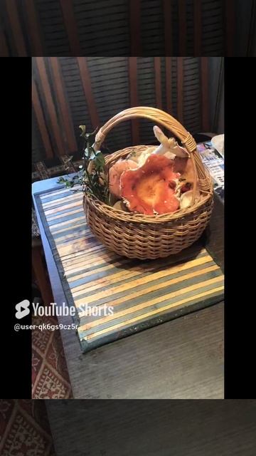 Ленобласть. Зеленогорск. 26.08.2024. Юлечка, по грибы в выходной день