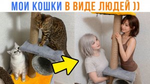 МОИ КОШКИ в виде ЛЮДЕЙ по версии ИИ ))) Приколы | Мемозг 1723