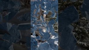 болотистые места