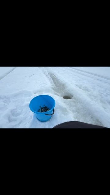 Ловил корюшку на блесну Питерская новая мормышка LUMI от Mr. Musurok