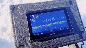 Рыба хренпоймайка на р.Свирь.