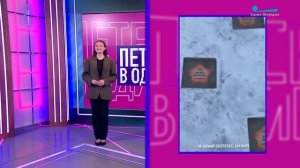 Петербург в один клик. Блинный рекорд, аллея звёзд спортивной славы, спа для пернатых