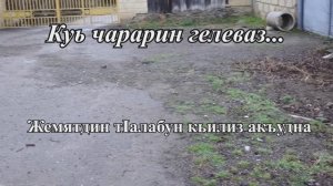 Куь чарарин гелеваз...Жемятдин тIалабун кьилиз акъудна.