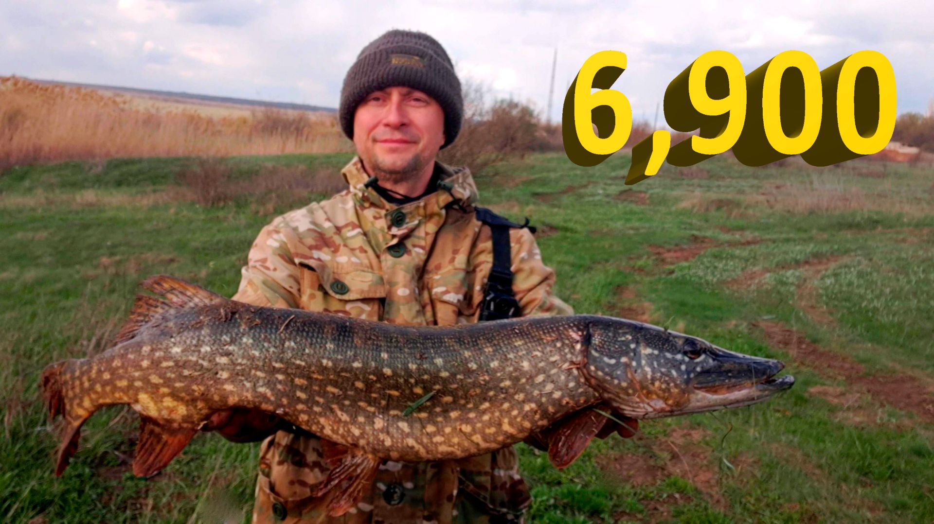 🔥 ОГРОМНАЯ ЩУКА 7 кг ЛОМАЕТ КАМЫШ и НЕ ЛЕЗЕТ в ПОДСАК! Идеальный воблер на щуку O.S.P. RUDRA 🔥 смотреть онлайн