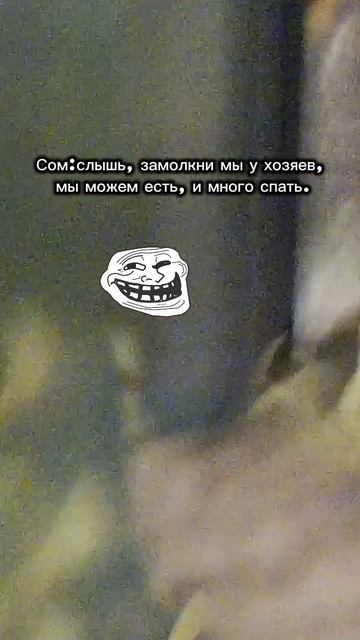 Снова прикалываются😁 смотреть онлайн