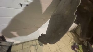 Подкрылок задний правый Mercedes-Benz GLC 2022 20058