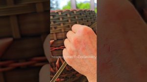 Мастер-класс "Декор для кашпо из ротанга "ЦВЕТОЧКИ""