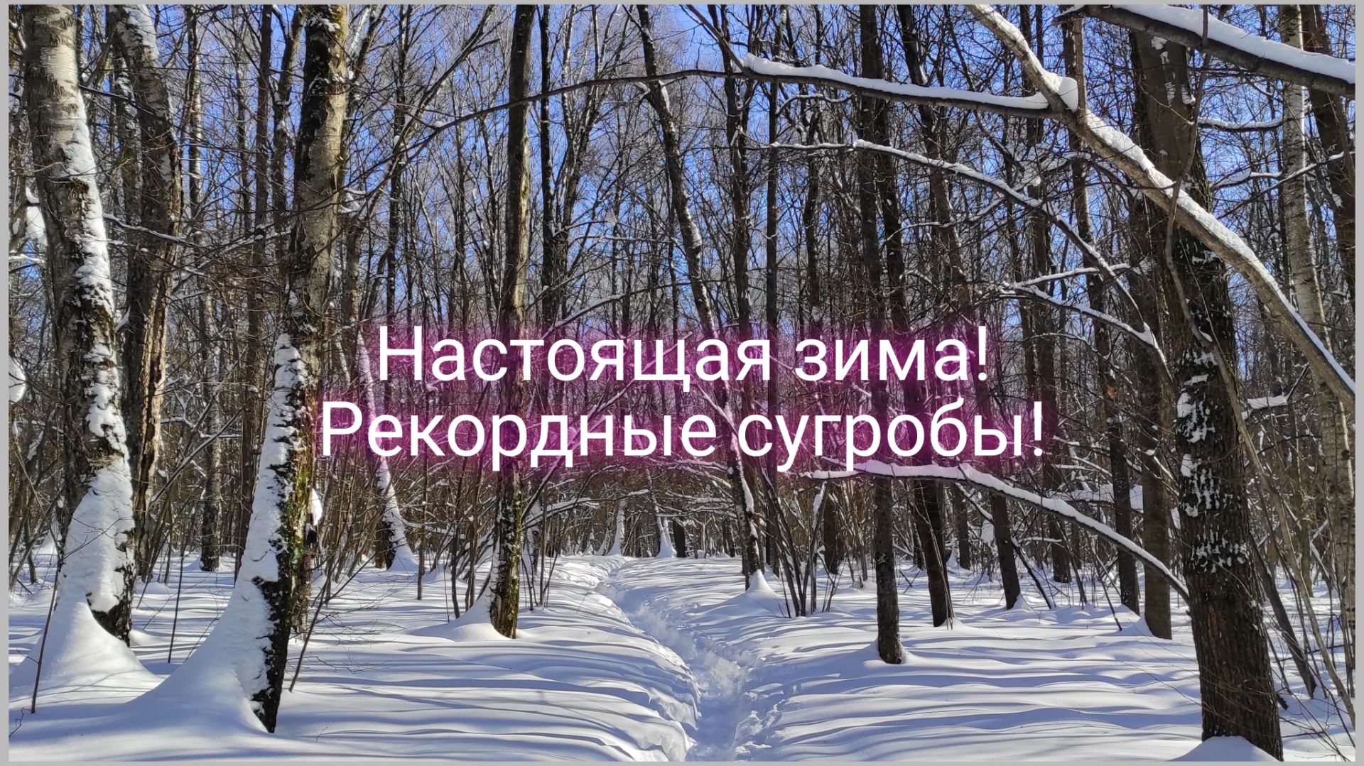 Огромные сугробы, под 90 см! Катаюсь в Москве на лыжах