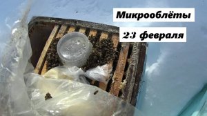 Микрооблёты 23 февраля