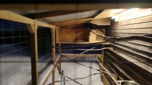 Ворон Гриша 25 февраля, с праздником