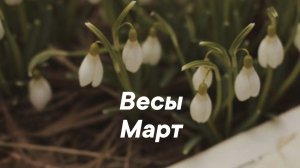 Весы ♎️Таро Прогноз на Март #2026