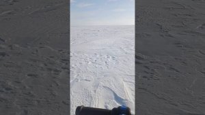 очередная поездка на самодельном снегоходе