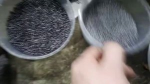 Подготовка свинца с бабитом к литью дроби..mp4