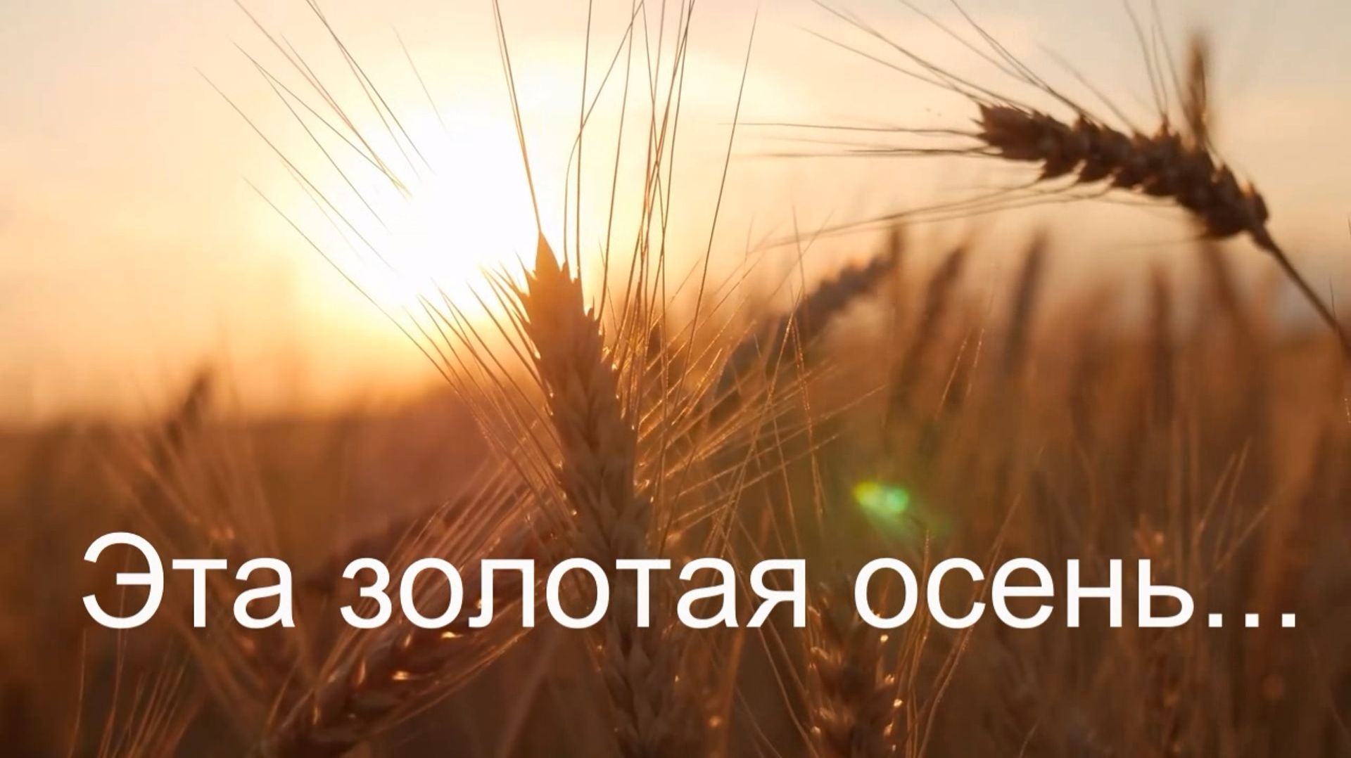 Эта золотая осень