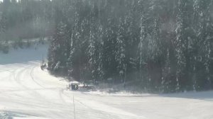 LIVE: channel39463803