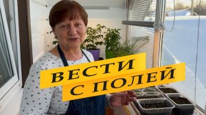 Вести с домашних полей.