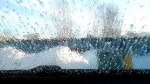 #5249 Архив В.В./25-02-26 г./ Пушкин СПб, ч.2...