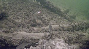 Рыбалка со льда