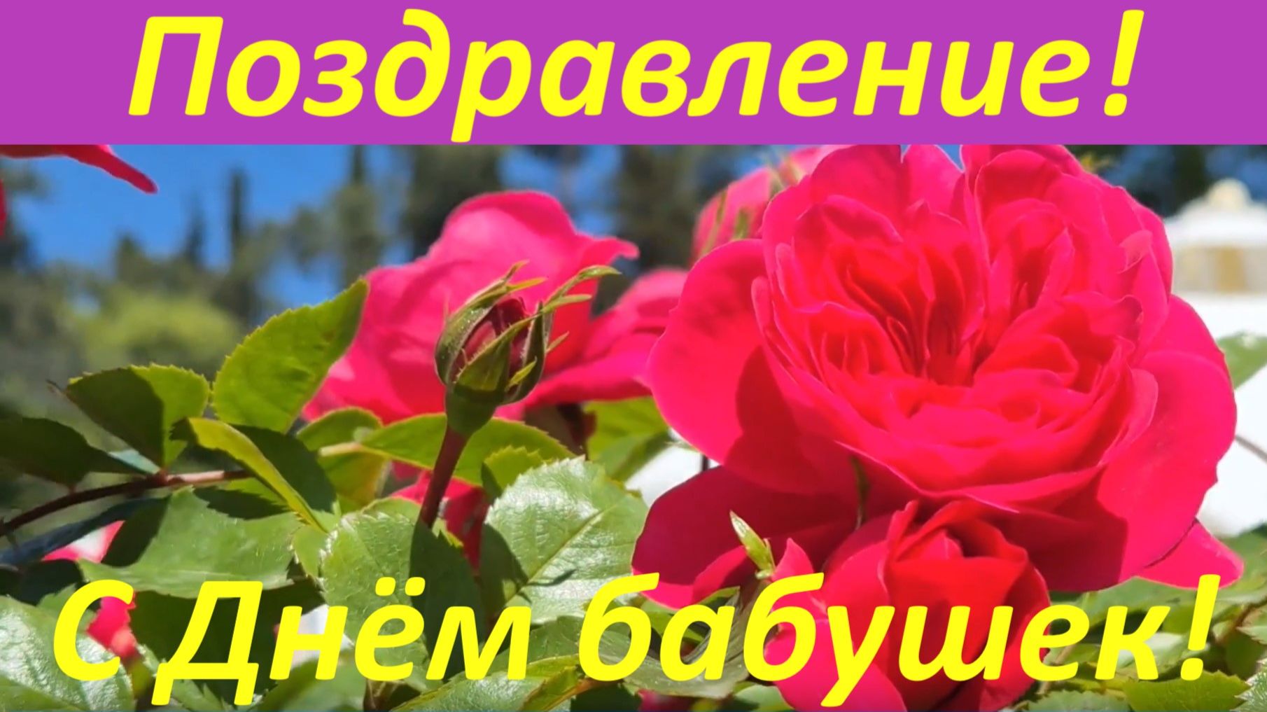 Поздравления с Днём бабушек поздравляю от души!