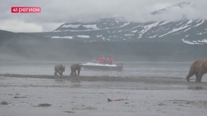 НАЧИНАЕТСЯ СОЗДАНИЕ ЦЕНТРА РЕАБИЛИТАЦИИ И СПАСЕНИЯ ХИЩНИКОВ «ЗЕМЛЯ МЕДВЕДЕЙ»•НОВОСТИ КАМЧАТКИ