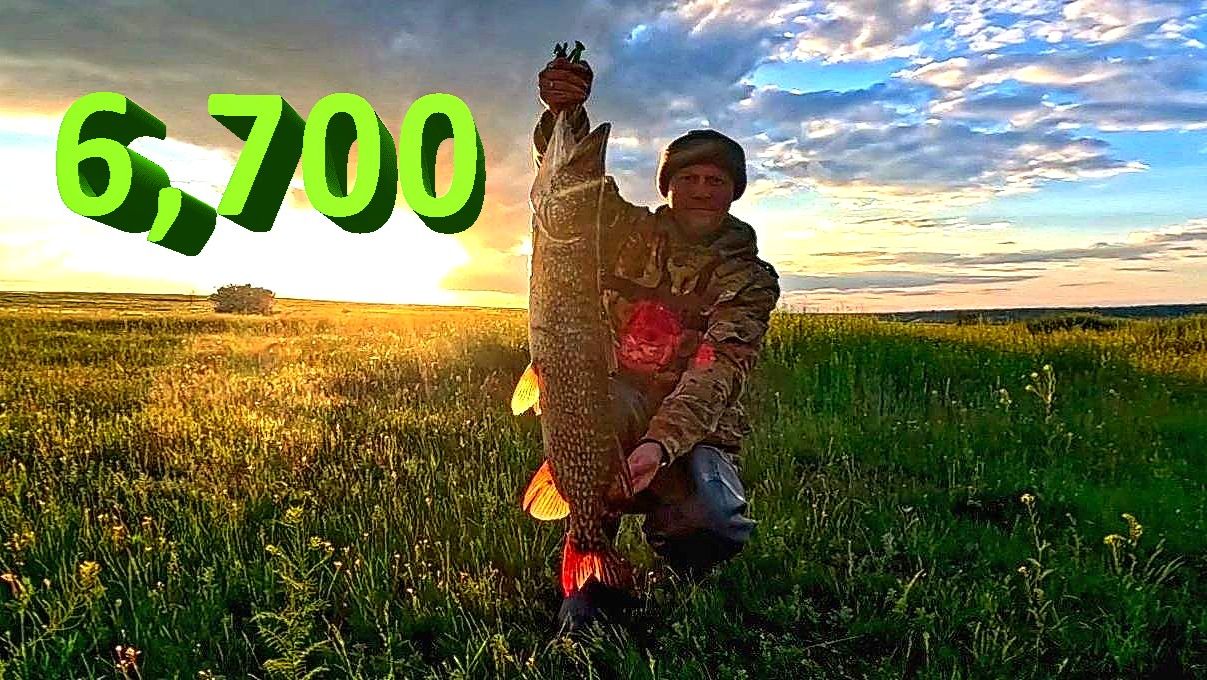 🔥 ТРОФЕЙНАЯ ЩУКА 7 кг на ОГРОМНЫЙ КРЕНК. Поставил плавающий воблер тарахтушку и сразу БАБАХ 🔥 смотреть онлайн