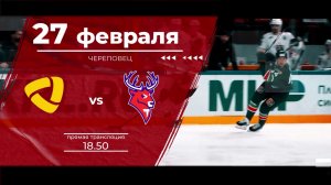 Матч КХЛ "Северсталь" - "Торпедо": следите за игрой на телеканале "Нижний Новгород 24" и на "Маяке"