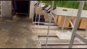 Выращивание Тюльпана. Сезон 2026