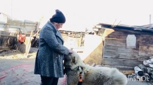 СтОит ли делиться деньгами