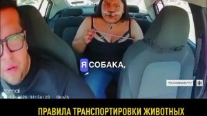 Западная шиза, или История о том, как девушка-«собака» захотела поехать на такси

Если кажется, что