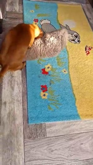 борьба с лежанкой