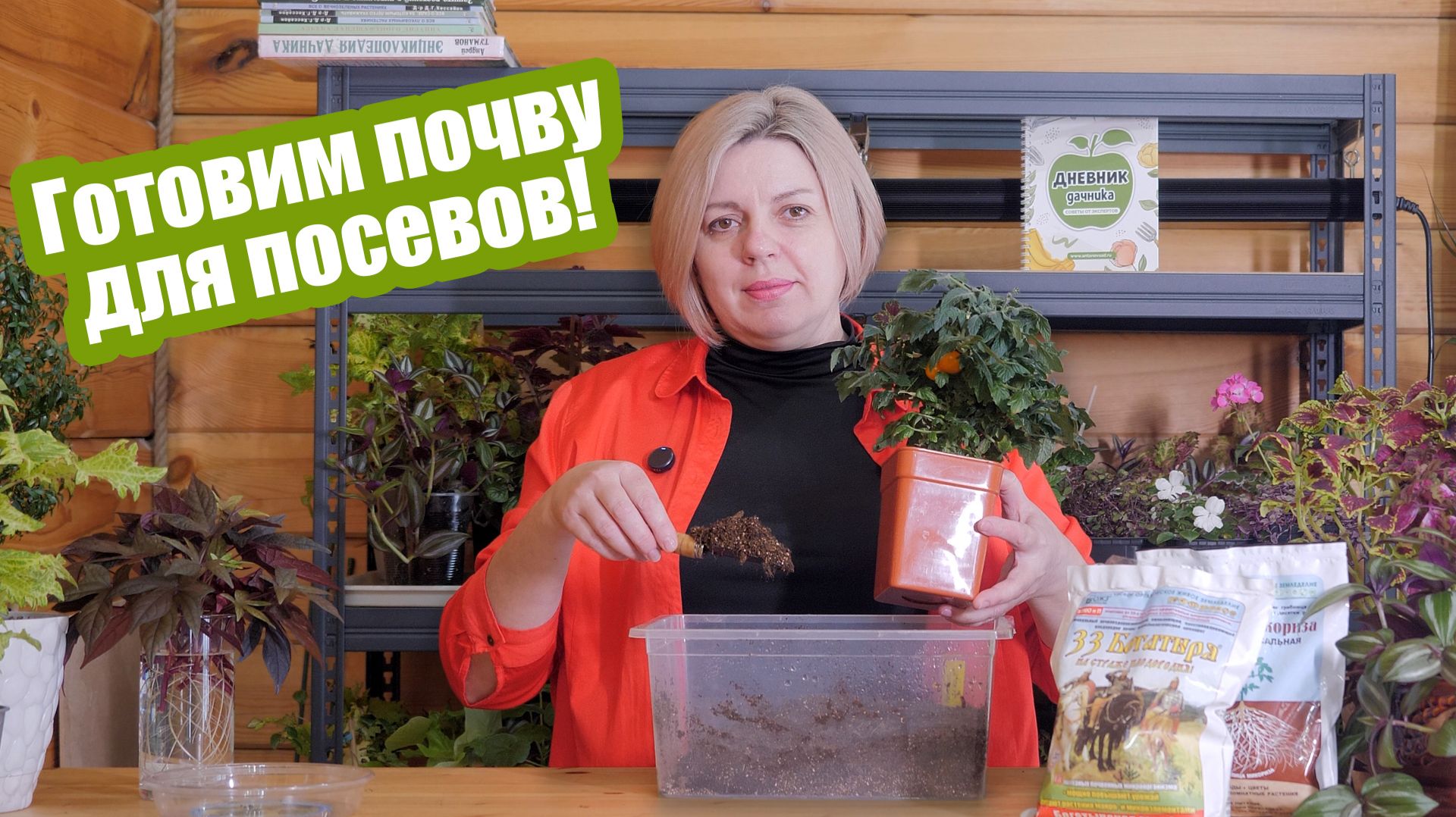 ГРУНТ ДЛЯ РАССАДЫ: как подготовить и исправить почвосмесь смотреть онлайн