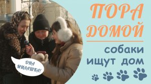 Cможет ли Саратовец отличить собаку из приюта? «Пора домой» Выпуск #4