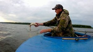 ДУПЛЕТ ЗА ДУПЛЕТОМ.ПОПАЛИ НА ЖОР ЛЕЩА.ЛОВЛЯ ЛЕЩА С ЛОДКИ.река ВОЛГА.