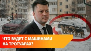 Автомобилисты мешают чистить снег, а собаки кусаются. Главное с оперативки мэра Уфы
