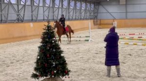 |Соревнования по конному спорту|13.12.25.|