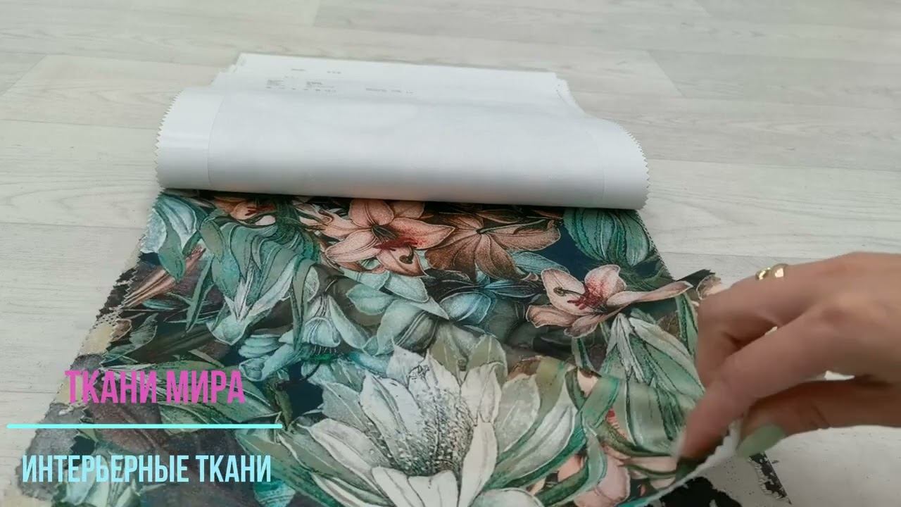 Galeria arben season смотреть онлайн
