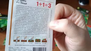 Обзор семян огурцов на сезон 26 года// мой опыт и не только.