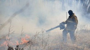 Пожароопасный сезон начался в заповедниках Приморья