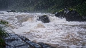 случай на рыбалке.mp4