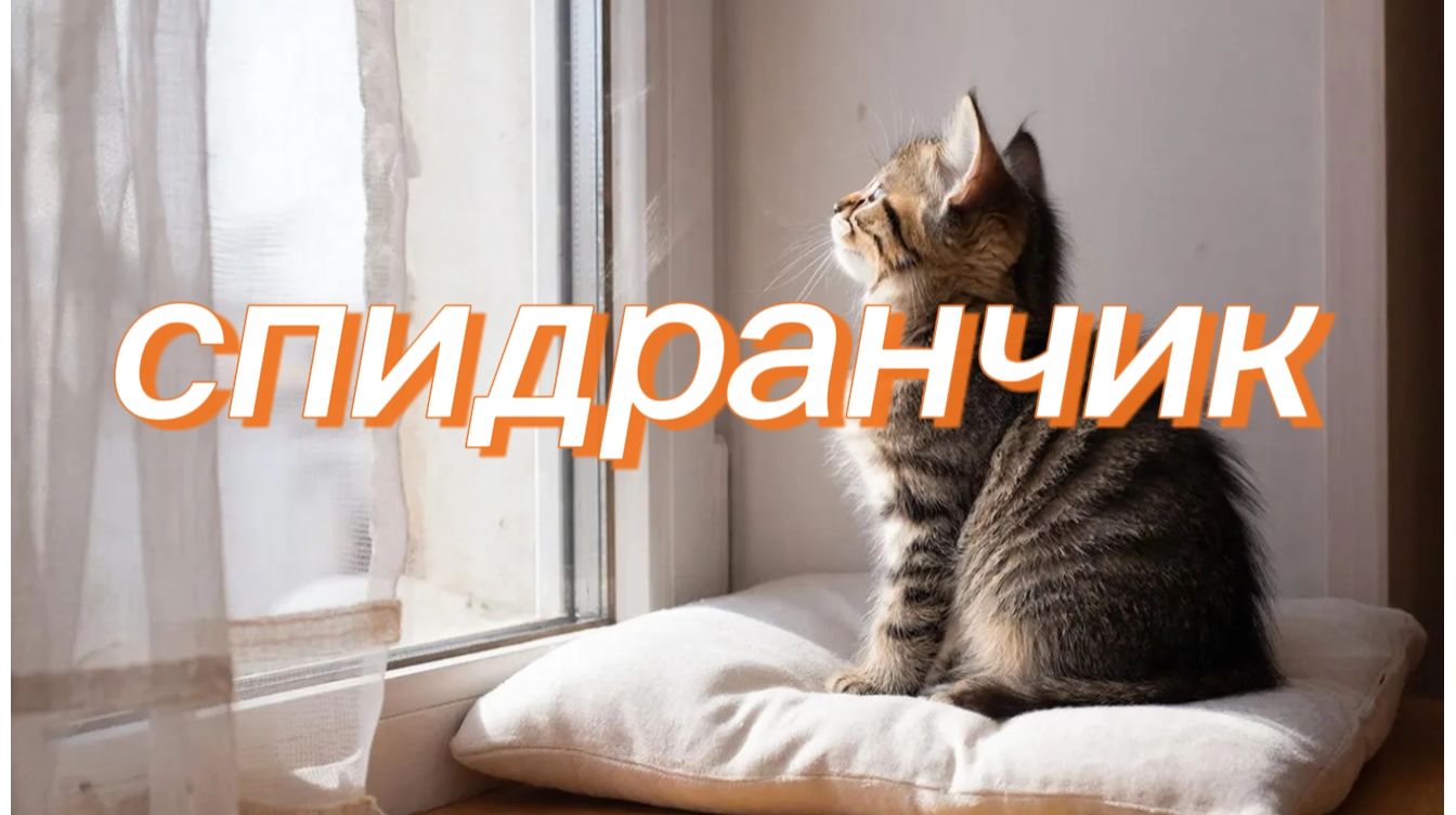 спидран по чикен ган смотреть онлайн